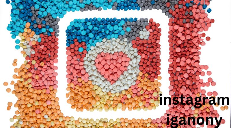 Revolutionizing Instagram Insights iGanony's Unveiling
