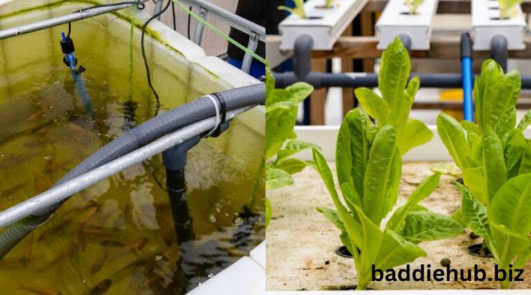 Aquaponics