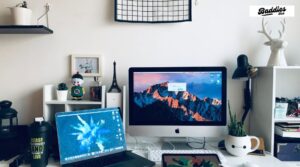 portalnewsletter