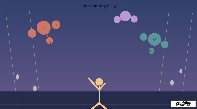 The Chemistry of Joy: Unpacking What Makes Sports Endlessly Thrilling